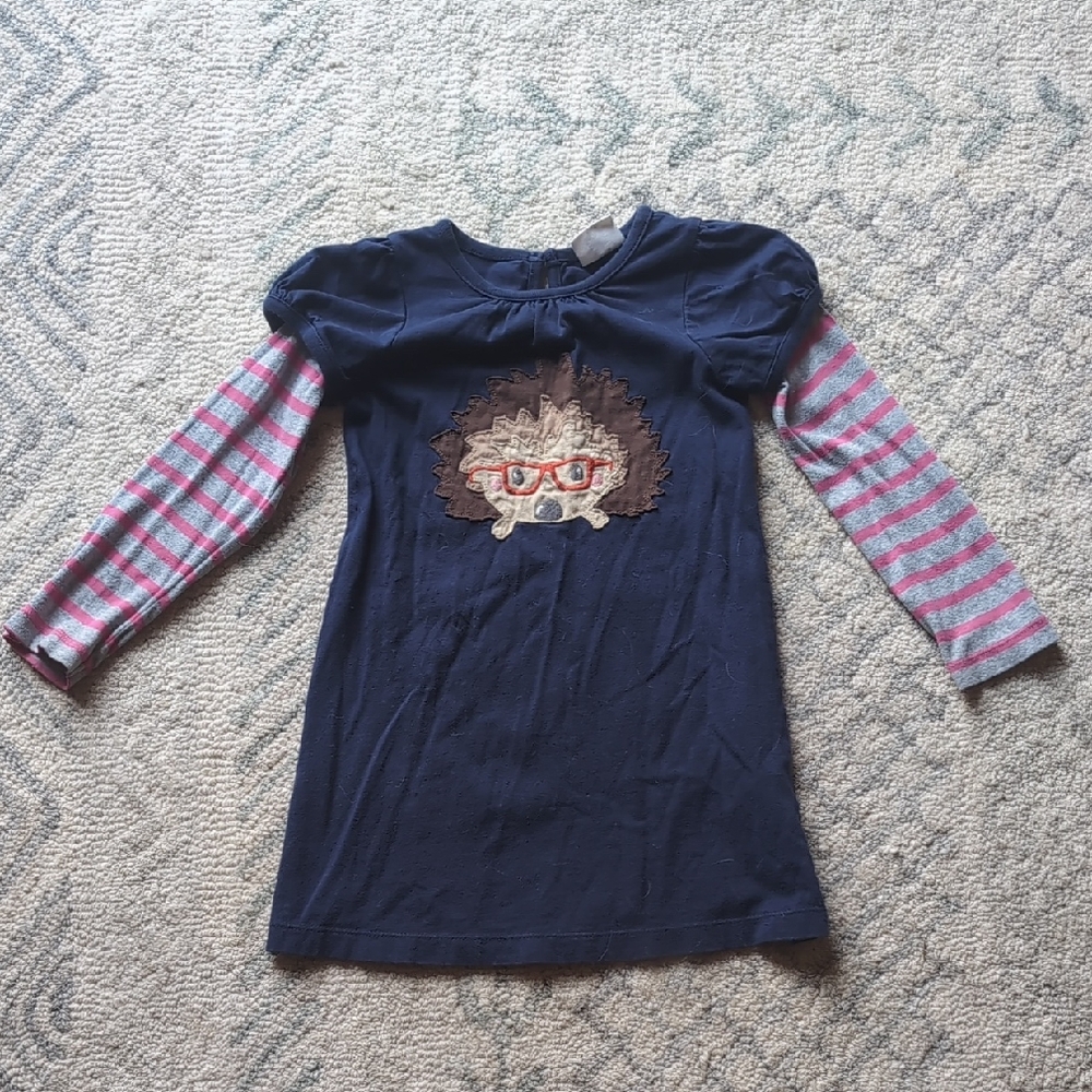 Boden Blue and Pink Long Sleeve dress